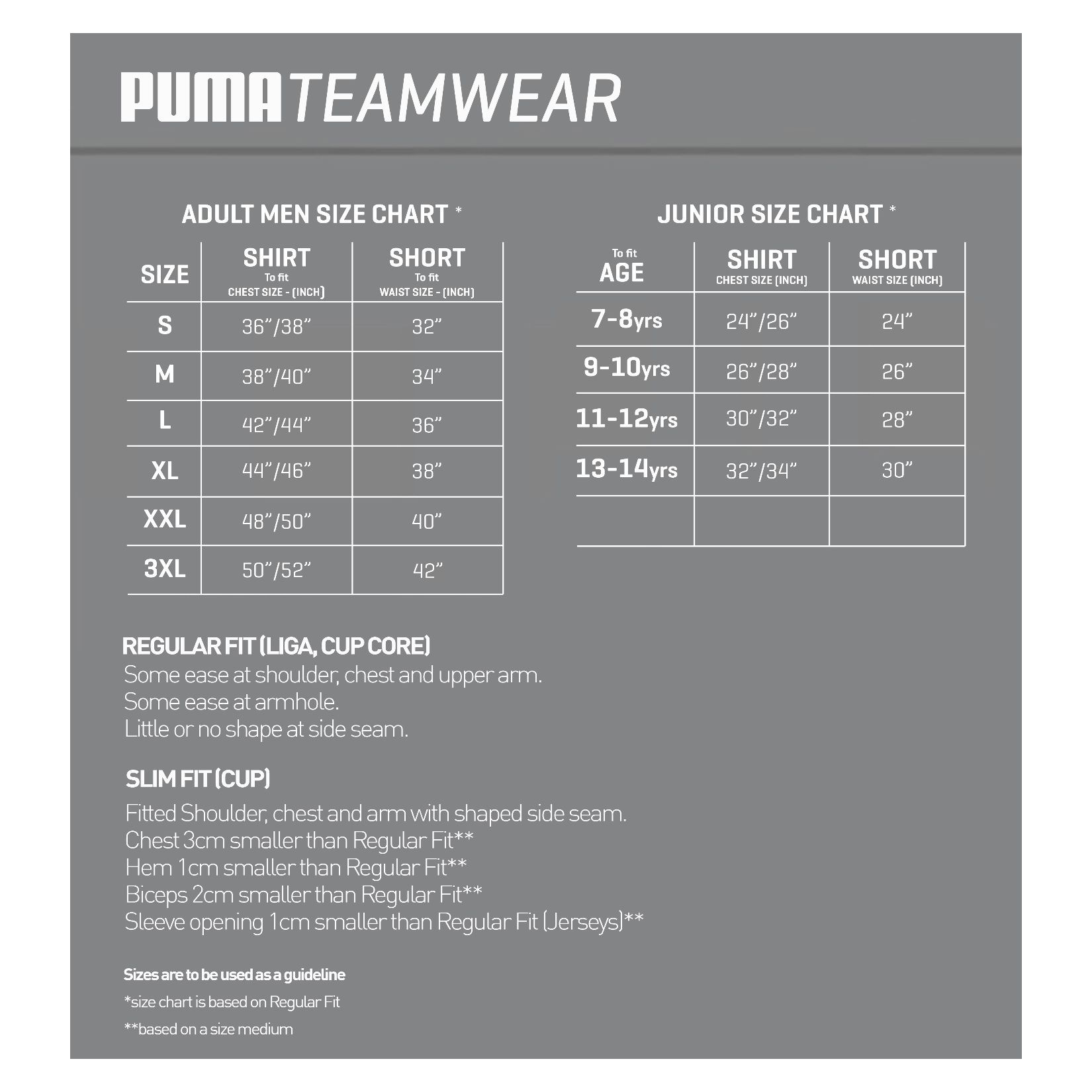 Puma Liga Core Shorts - Kitlocker.com