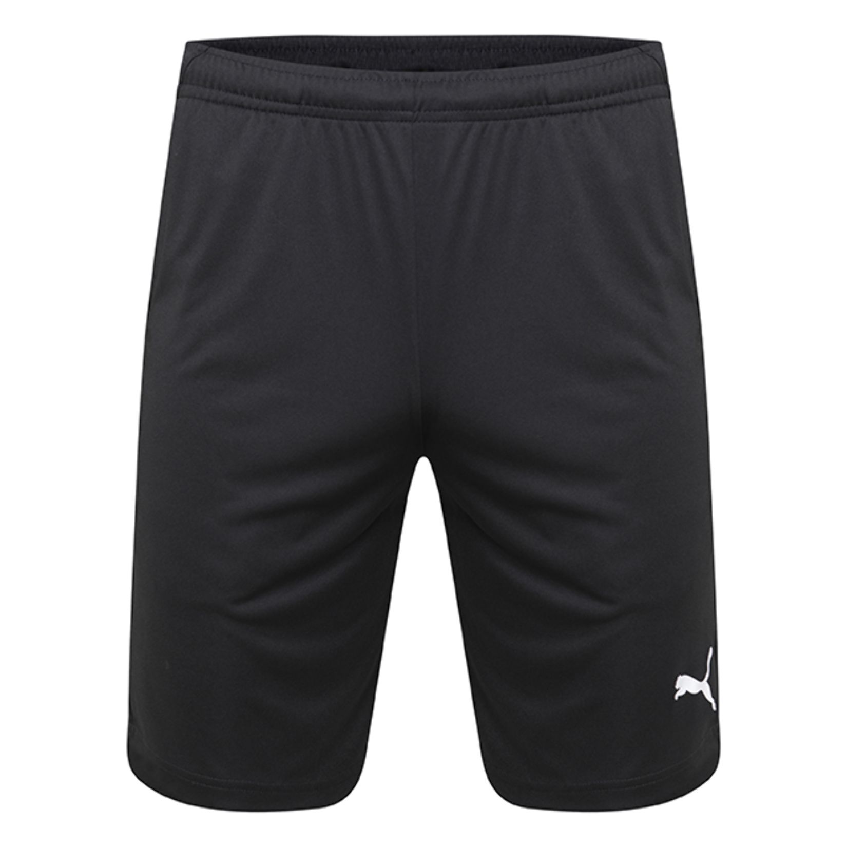 Puma Liga Pocketed Training Shorts - Kitlocker.com