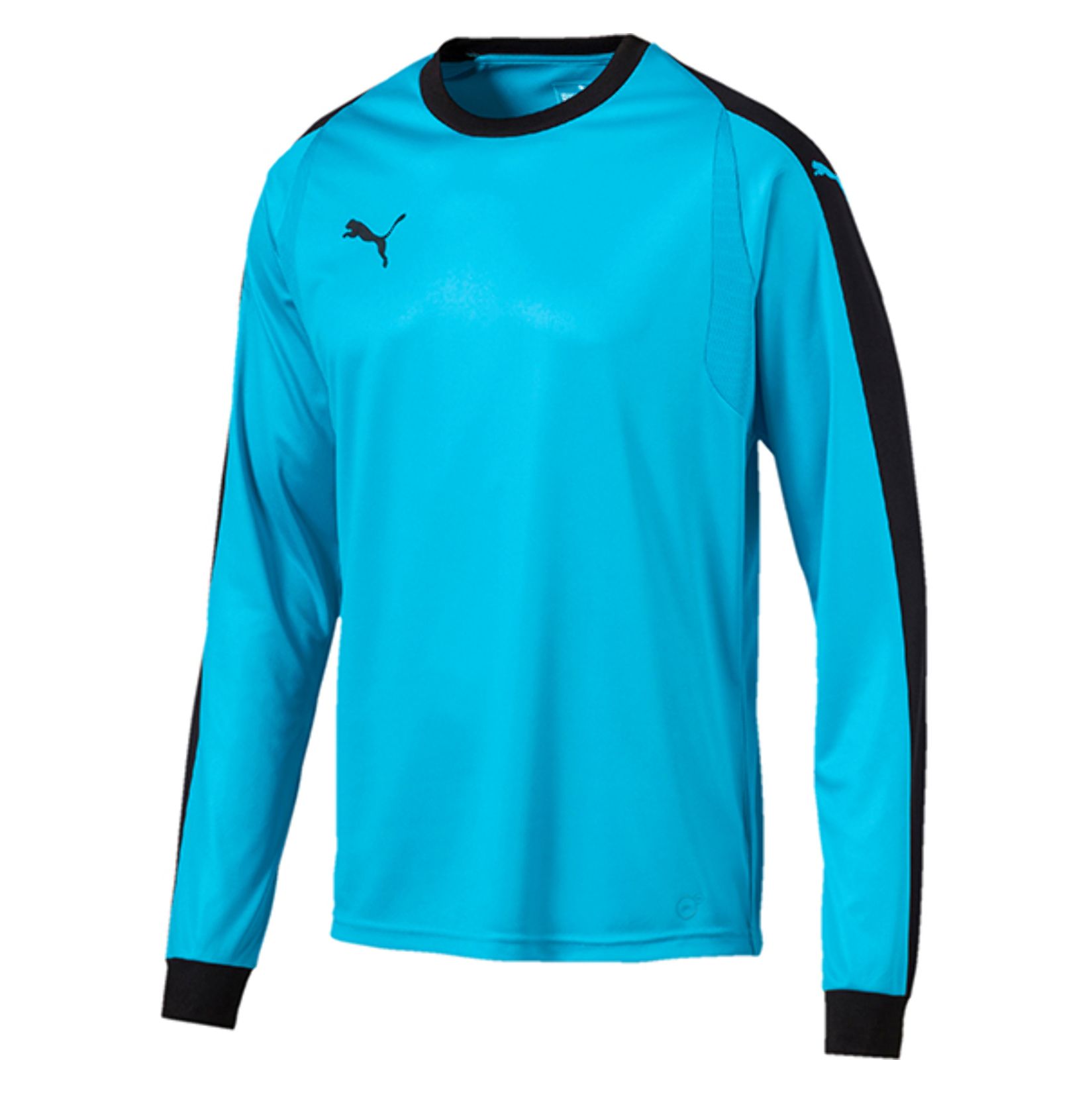 puma goalkeeper shirt