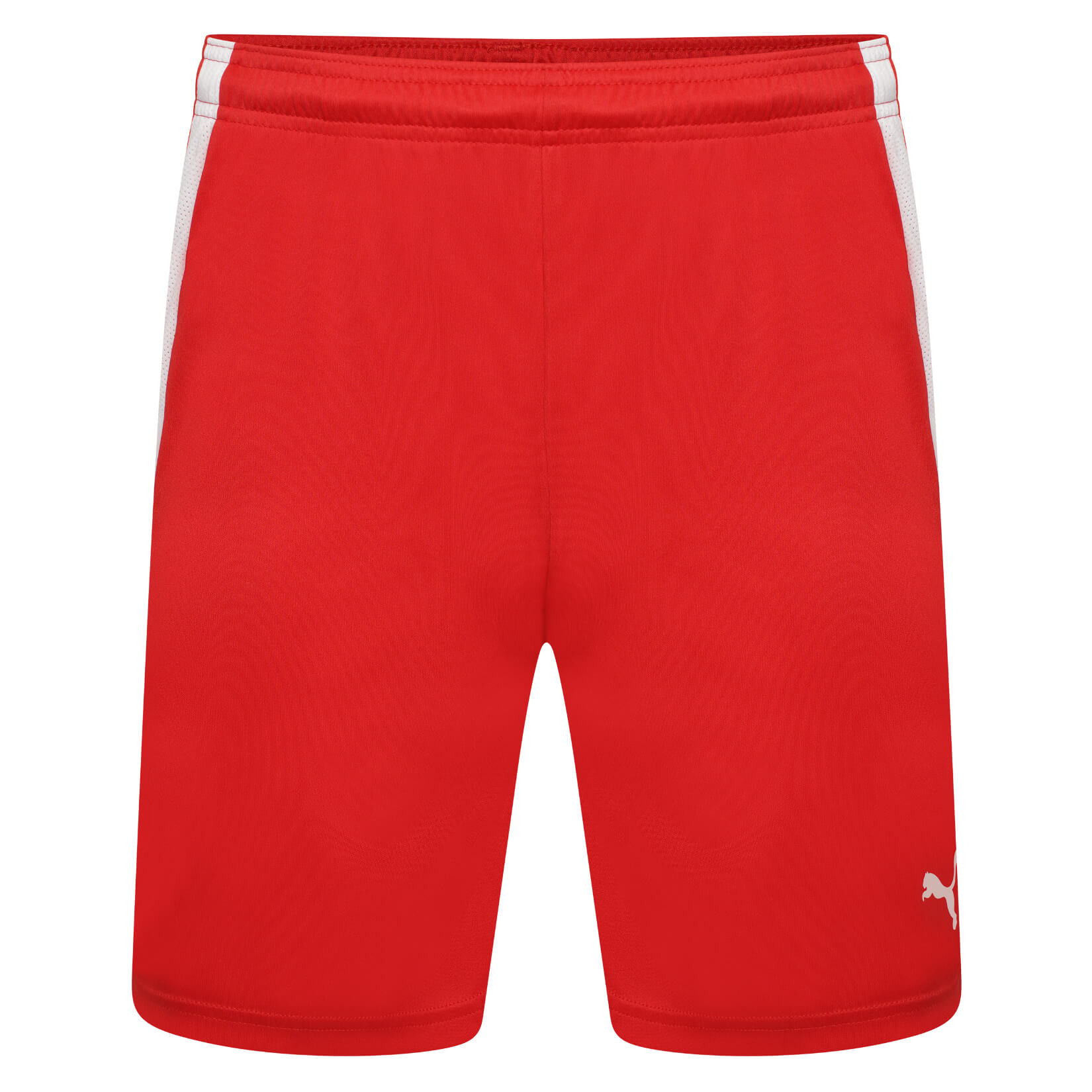 Puma teamLIGA Short Kitlocker