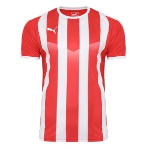 Puma Striped Short Sleeve Jersey - Kitlocker.com