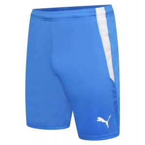 Puma Football | Match Shorts | Adult, Kids | Kitlocker.com