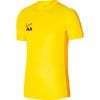 Nike Academy 23 Short Sleeve Training Top Tour Yellow-University Gold-Black