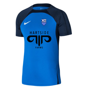 Nike Dri-Fit Strike III Jersey